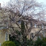 А у нас сегодня лето... а у вас???