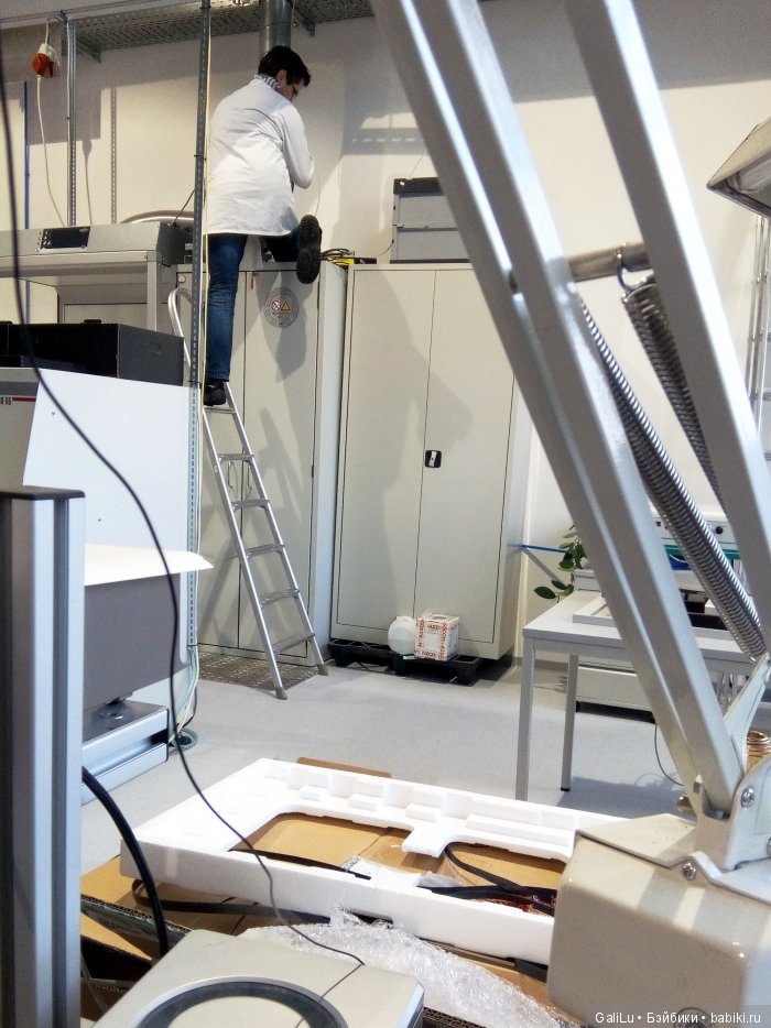 Бывает ли Шеф некусачий — Болталка и разговоры обо всем: жизнь