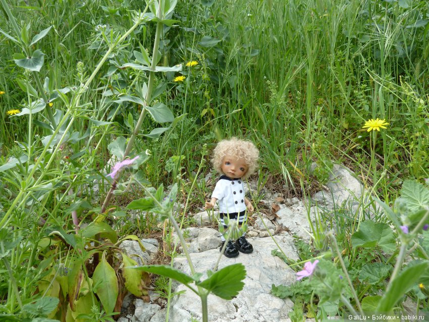 Круиз по средиземному морю