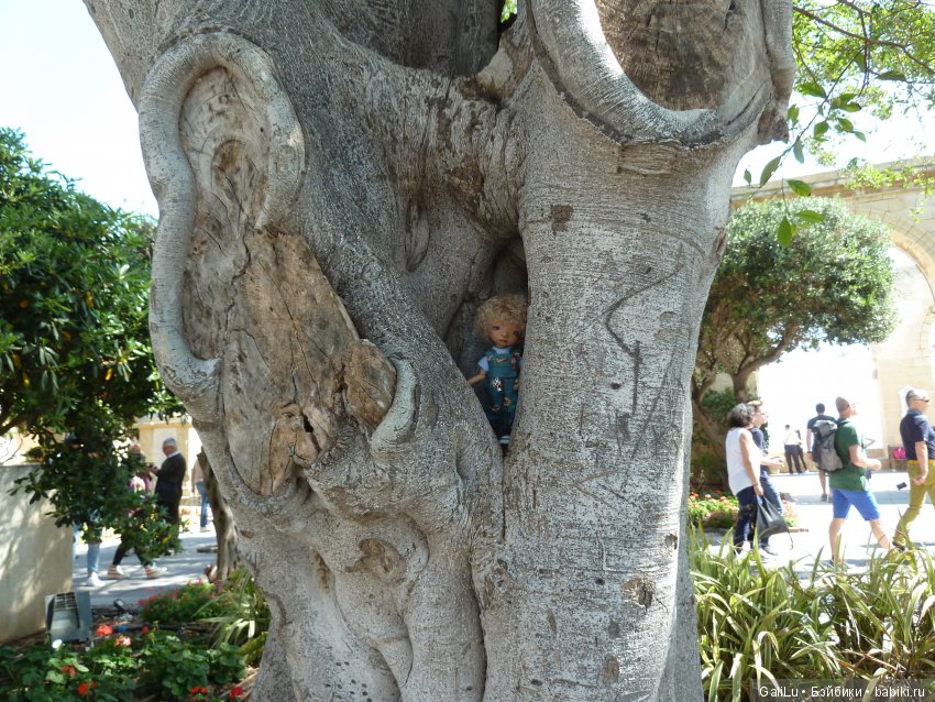 Круиз по средиземному морю