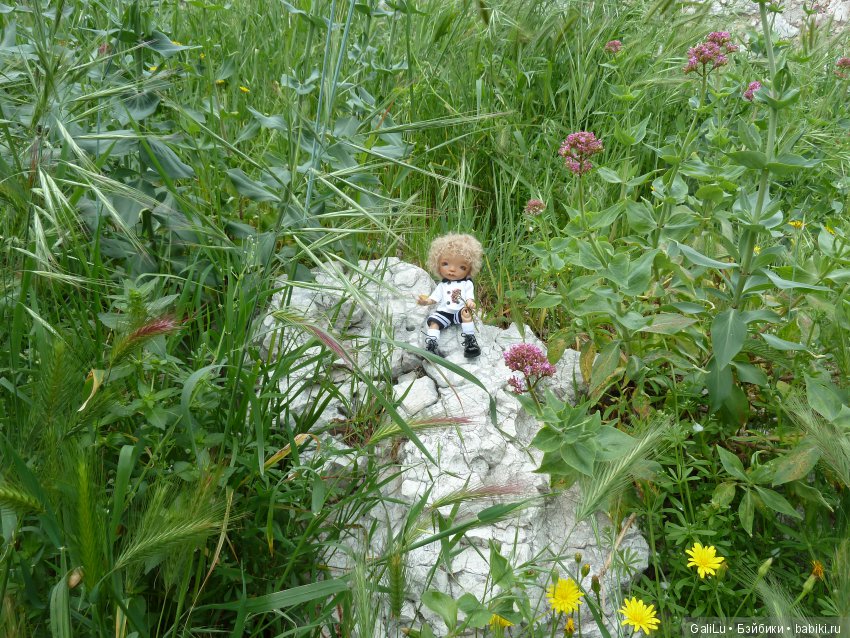 Круиз по средиземному морю