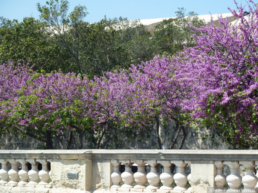 Круиз по средиземному морю