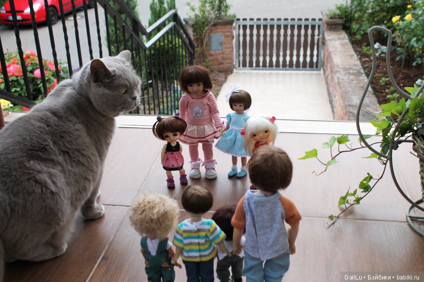 Долгожданчики — Домашние коллекции кукол: фото собраний (фото 4)