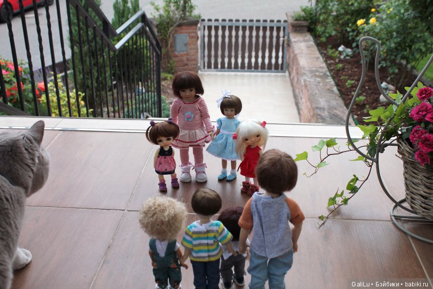 Долгожданчики — Домашние коллекции кукол: фото собраний (фото 3)