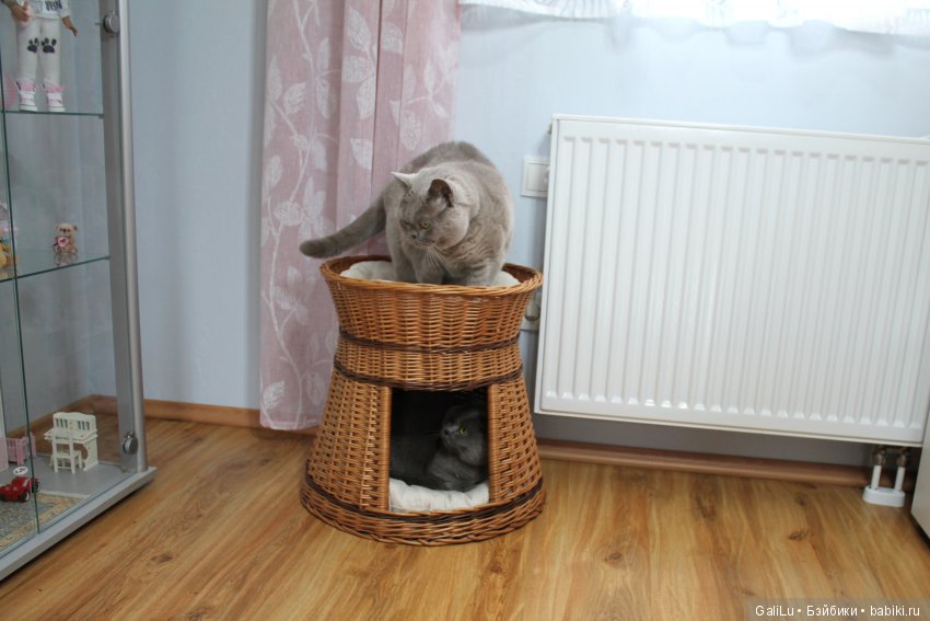 День открытых дверей в мою мастерскую (фото 4)