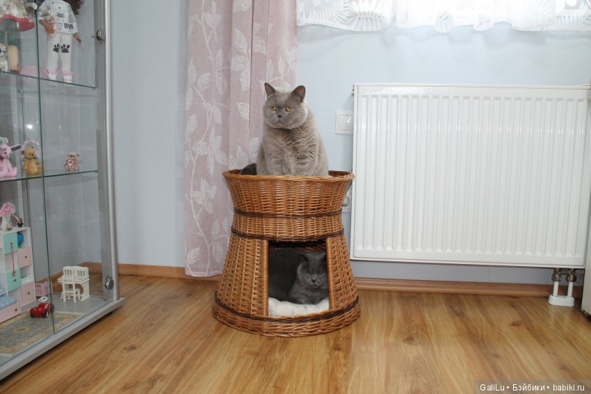 День открытых дверей в мою мастерскую (фото 5)