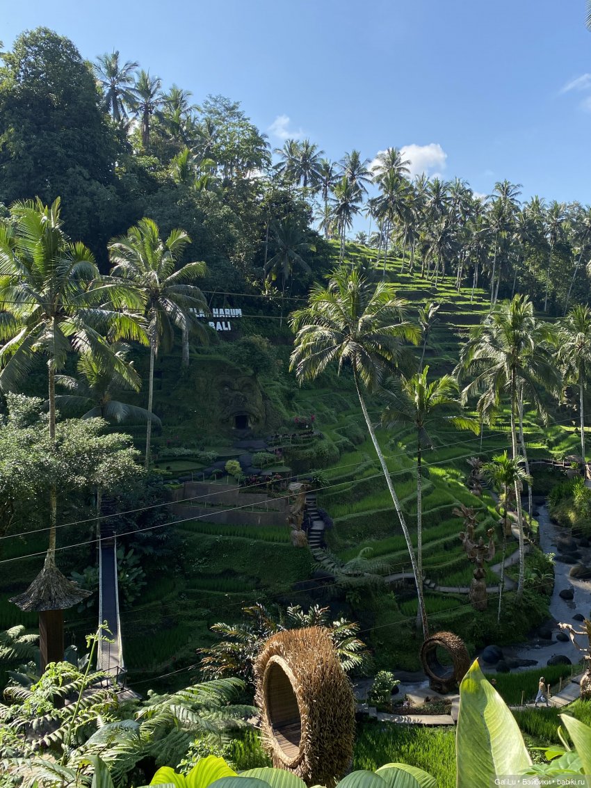 Путешествие на Бали — Туризм и путешествия: фотоотчеты из поездок