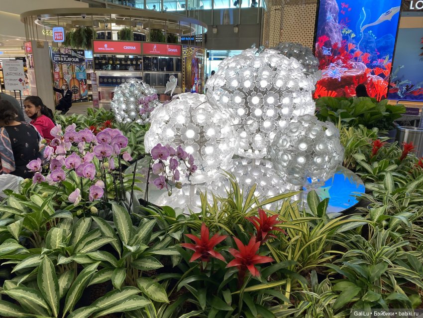 Кусочек Сингапура — Туризм и путешествия: фотоотчеты из поездок (фото 8)