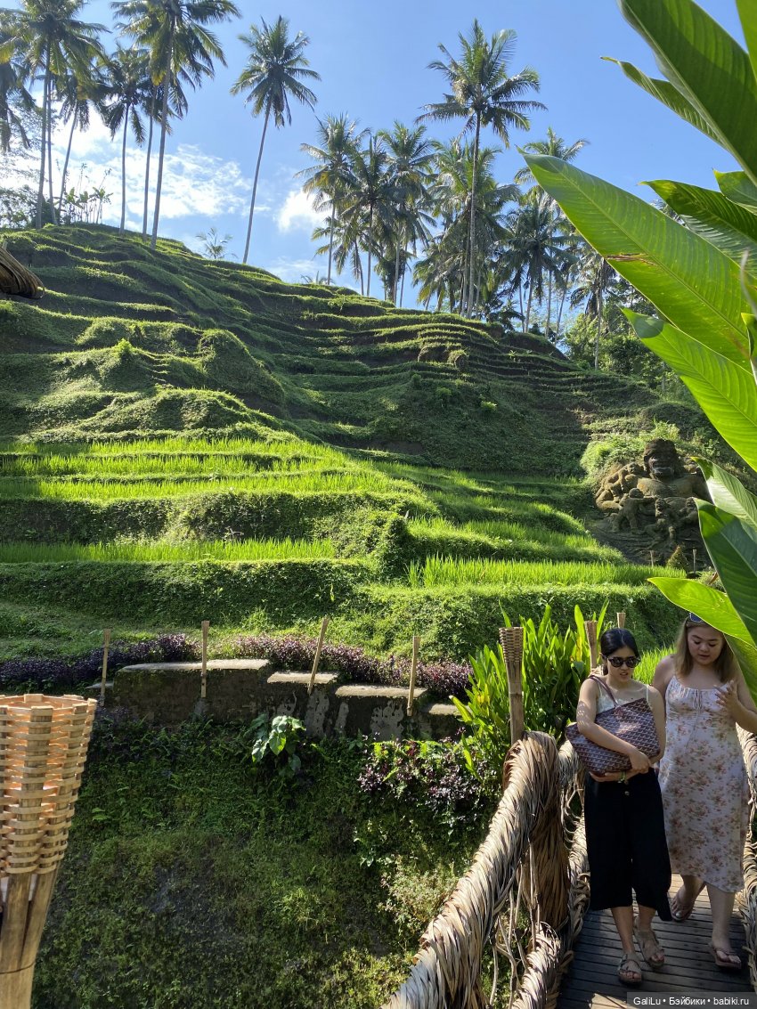 Путешествие на Бали — Туризм и путешествия: фотоотчеты из поездок