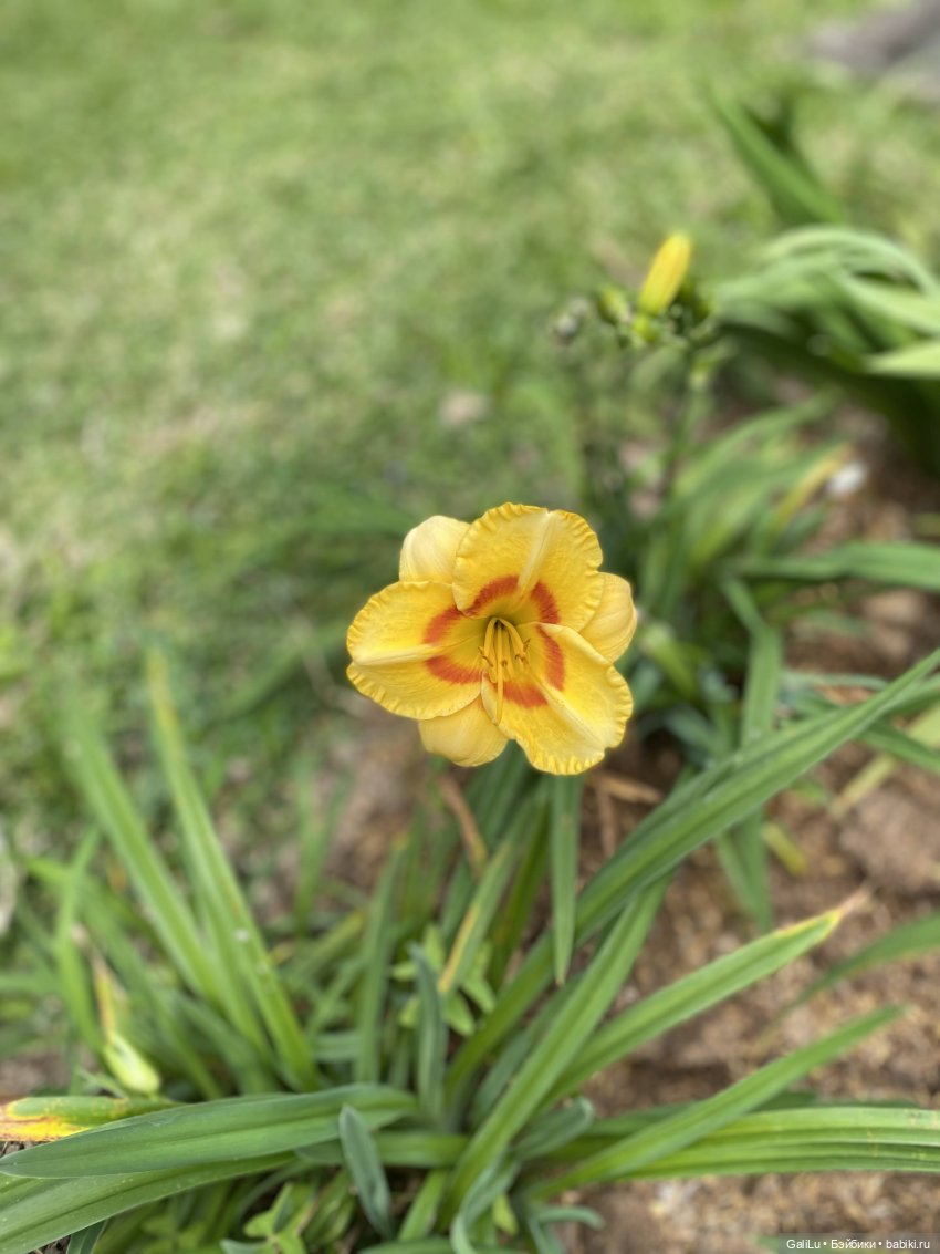 Путешествие на Бали — Туризм и путешествия: фотоотчеты из поездок