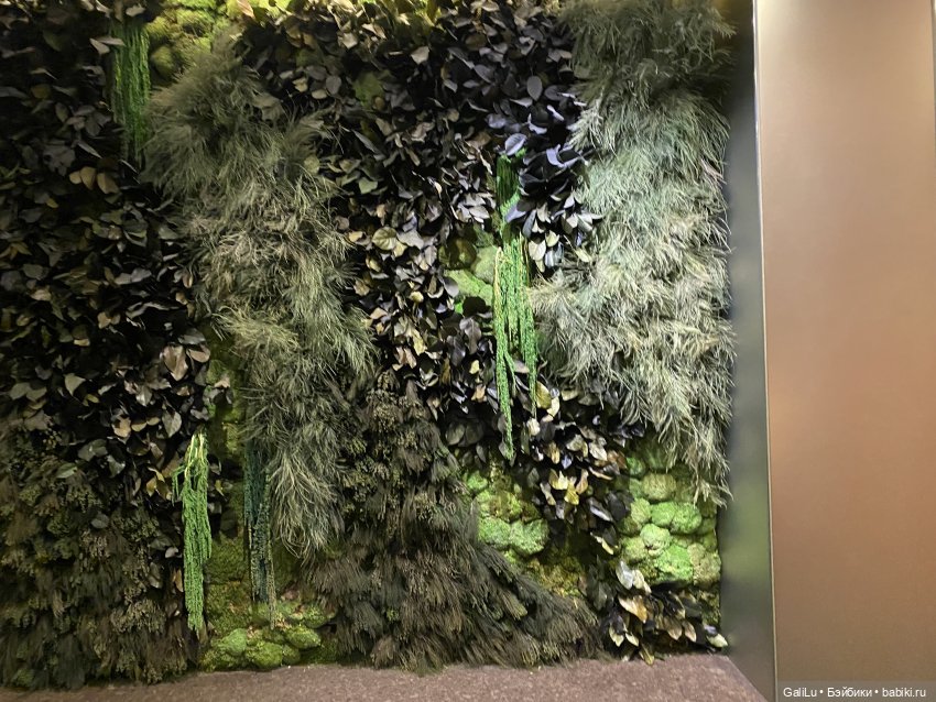 Кусочек Сингапура — Туризм и путешествия: фотоотчеты из поездок (фото 6)