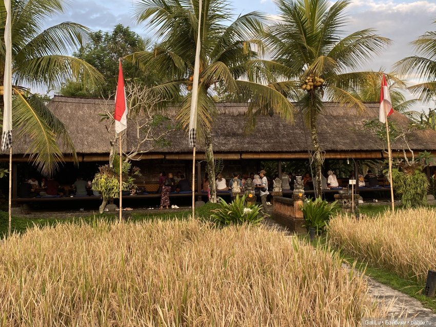 Путешествие на Бали — Туризм и путешествия: фотоотчеты из поездок