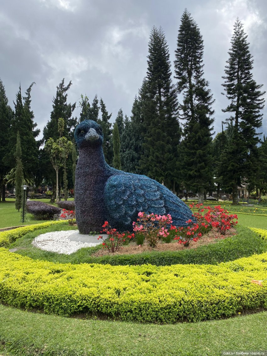 Путешествие на Бали — Туризм и путешествия: фотоотчеты из поездок