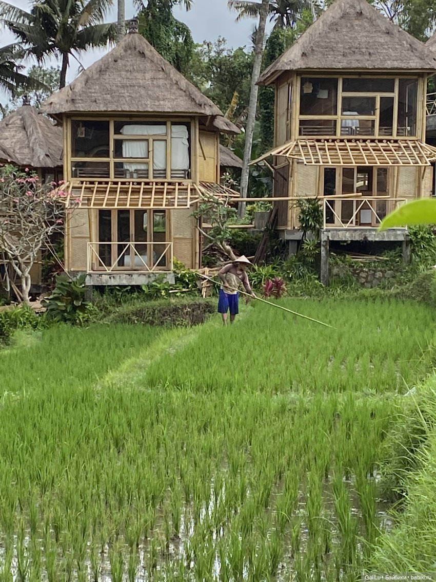 Путешествие на Бали — Туризм и путешествия: фотоотчеты из поездок