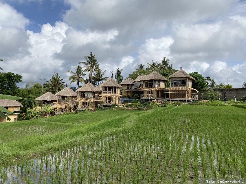 Путешествие на Бали — Туризм и путешествия: фотоотчеты из поездок