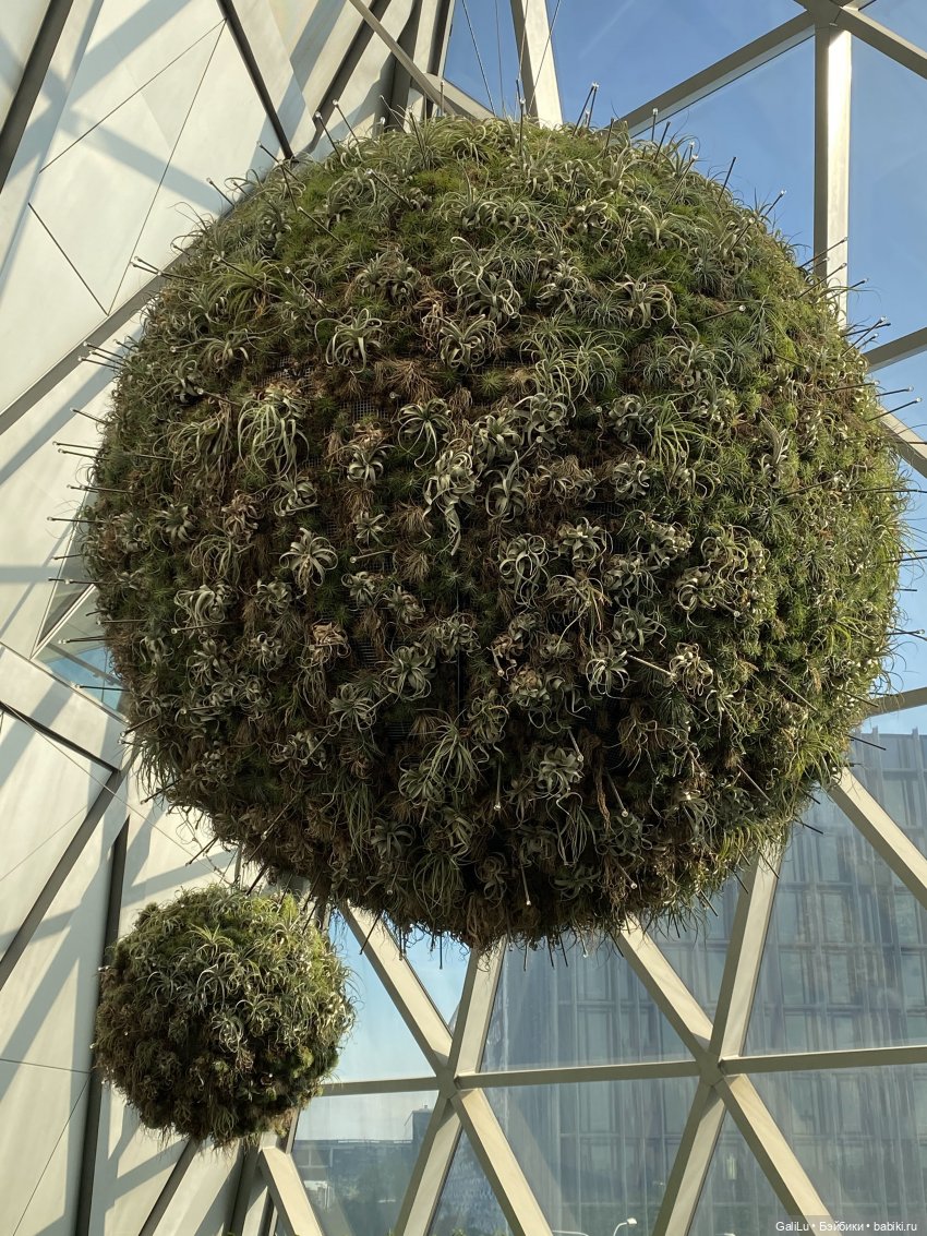 Кусочек Сингапура — Туризм и путешествия: фотоотчеты из поездок (фото 9)