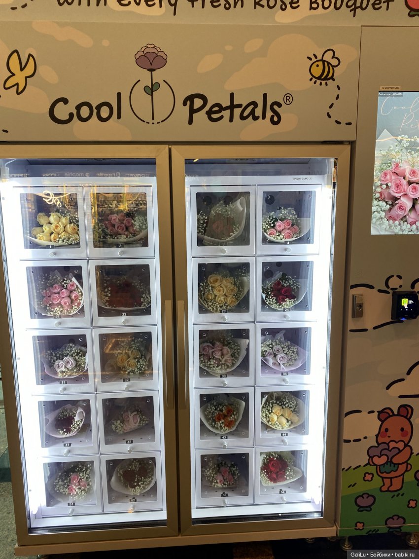 Кусочек Сингапура — Туризм и путешествия: фотоотчеты из поездок