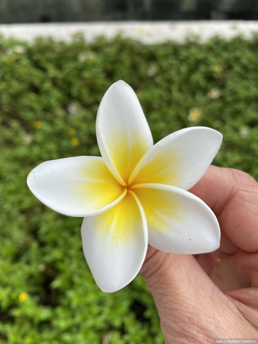 Путешествие на Бали — Туризм и путешествия: фотоотчеты из поездок