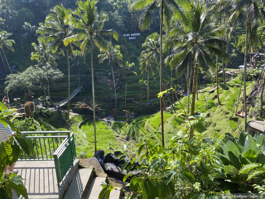 Путешествие на Бали — Туризм и путешествия: фотоотчеты из поездок