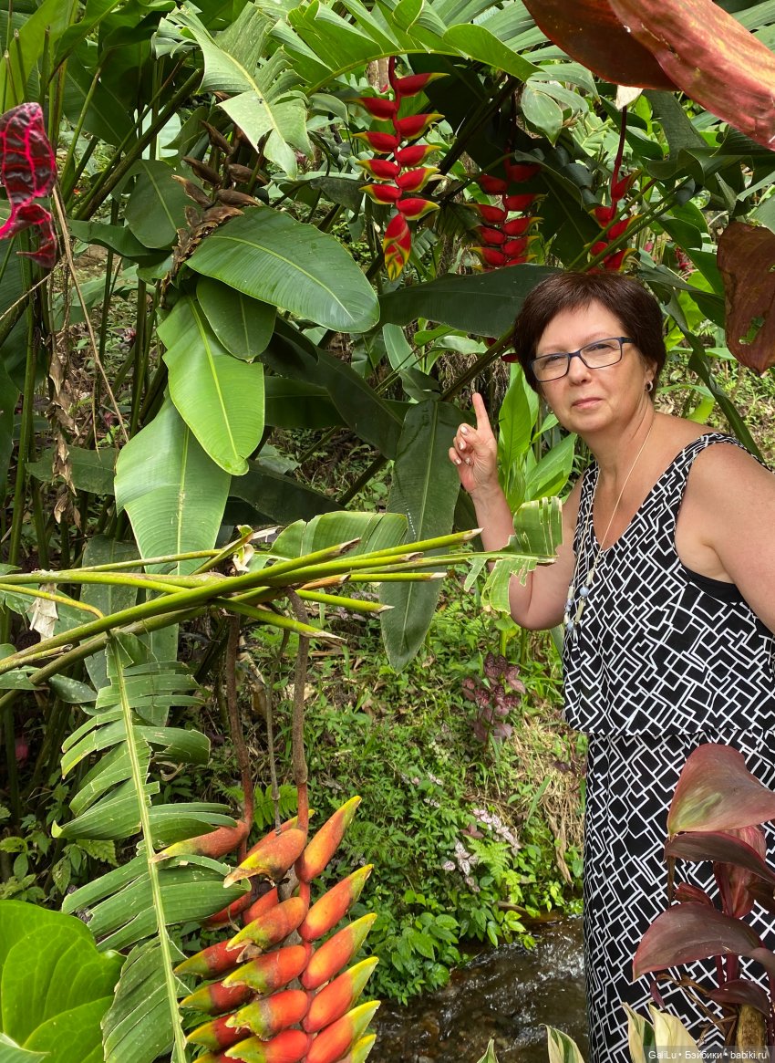 Путешествие на Бали — Туризм и путешествия: фотоотчеты из поездок