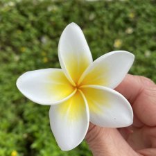 Путешествие на Бали.