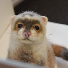 Сухое валяние. Хорек Финик