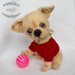 Чихуахуа Чип, авторская игрушка своими руками