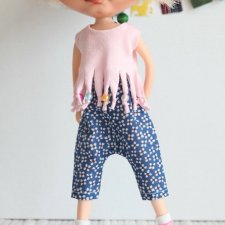 Одежда различный хендмейд для блайз/blythe и других подобных кукол