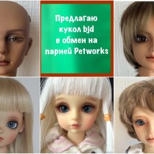 Обмен бжд на парней от Petworks