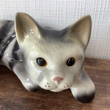 Кот, который живет на полке