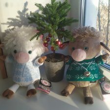 Пара: бычок Тарасик и коровка Ася