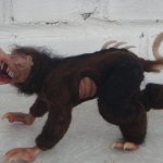 Сокр, авторская игрушка своими руками