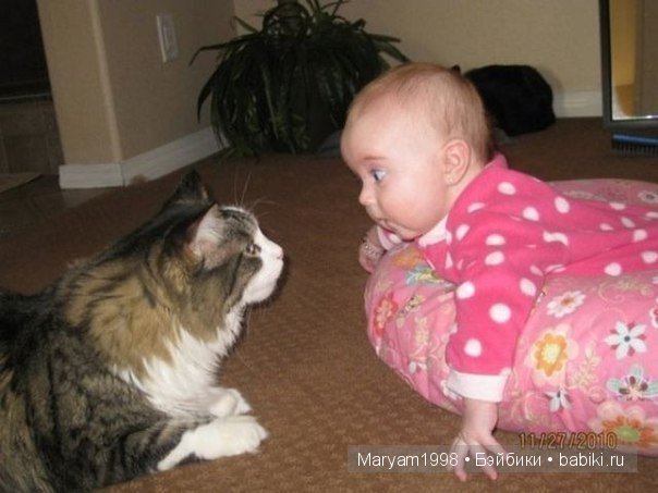 Интересные фото | Бэйбики Интересные фото — Болталка и разговоры обо всем: жизнь (фото 5)