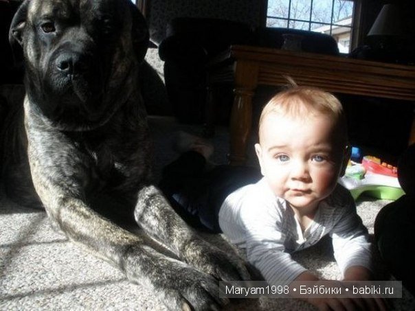 Интересные фото | Бэйбики Интересные фото — Болталка и разговоры обо всем: жизнь (фото 10)