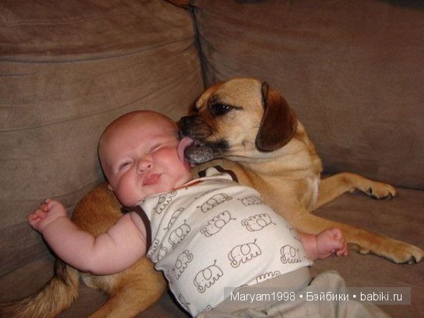 Интересные фото | Бэйбики Интересные фото — Болталка и разговоры обо всем: жизнь