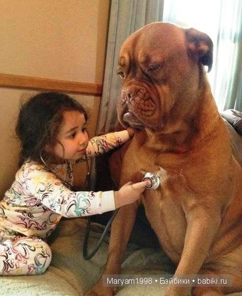 Интересные фото | Бэйбики Интересные фото — Болталка и разговоры обо всем: жизнь (фото 2)