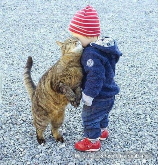 Интересные фото | Бэйбики Интересные фото — Болталка и разговоры обо всем: жизнь