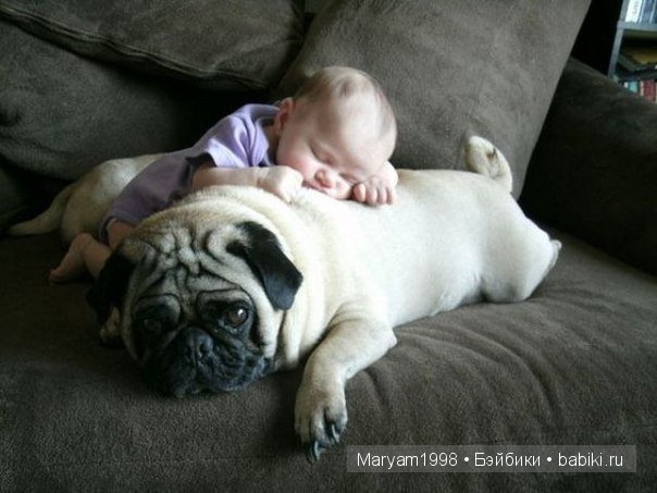 Интересные фото | Бэйбики Интересные фото — Болталка и разговоры обо всем: жизнь