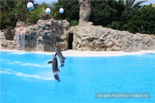 Испания островная — Туризм и путешествия: фотоотчеты из поездок (фото 9)