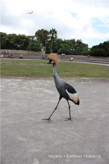 Испания островная — Туризм и путешествия: фотоотчеты из поездок