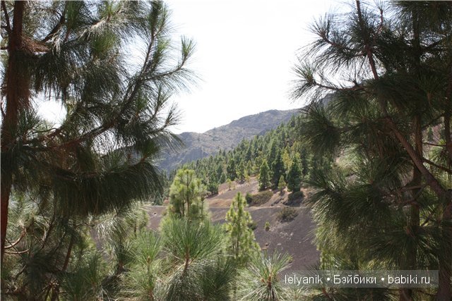 Испания островная — Туризм и путешествия: фотоотчеты из поездок