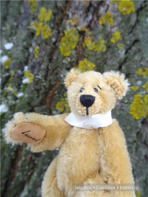 Мишка на севере — Болталка и разговоры обо всем: жизнь