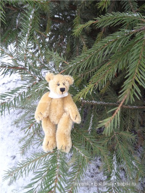 Мишка на севере — Болталка и разговоры обо всем: жизнь (фото 6)