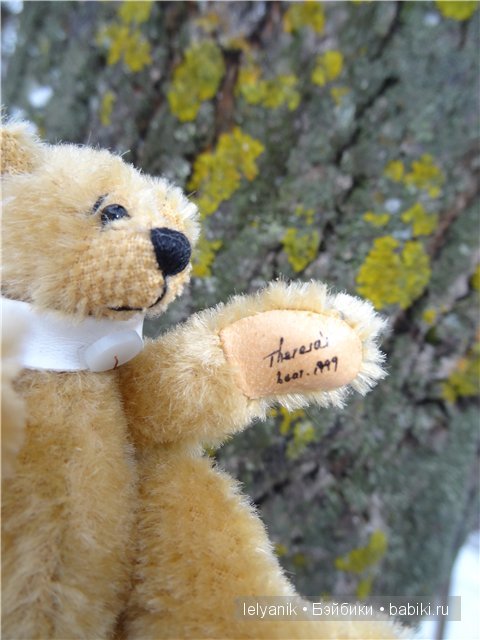 Мишка на севере — Болталка и разговоры обо всем: жизнь (фото 2)