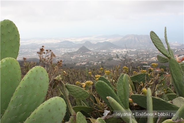 Испания островная — Туризм и путешествия: фотоотчеты из поездок