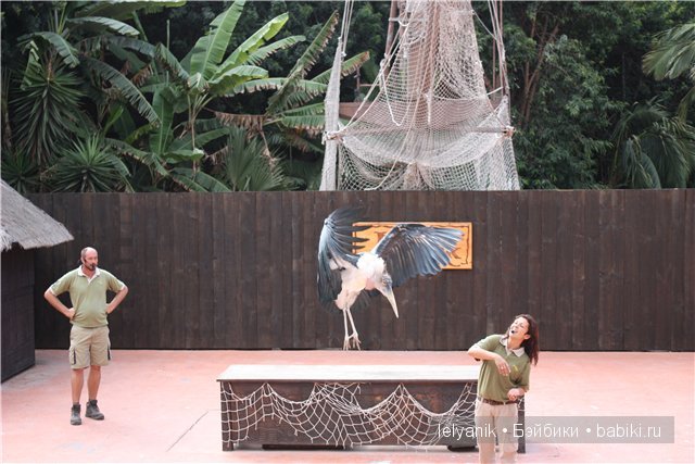 Испания островная — Туризм и путешествия: фотоотчеты из поездок