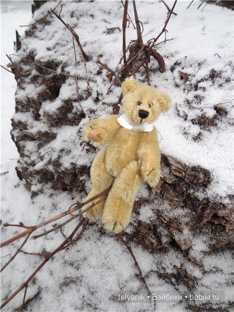 Мишка на севере — Болталка и разговоры обо всем: жизнь