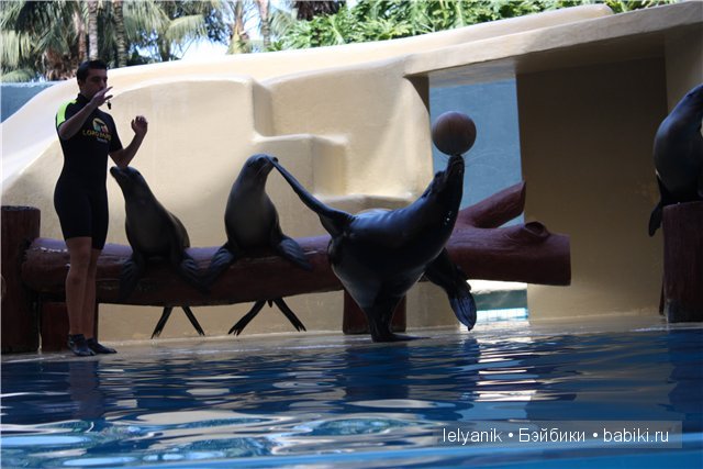 Испания островная — Туризм и путешествия: фотоотчеты из поездок (фото 7)