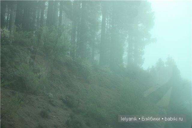 Испания островная — Туризм и путешествия: фотоотчеты из поездок