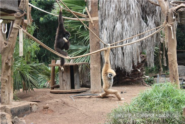 Испания островная — Туризм и путешествия: фотоотчеты из поездок